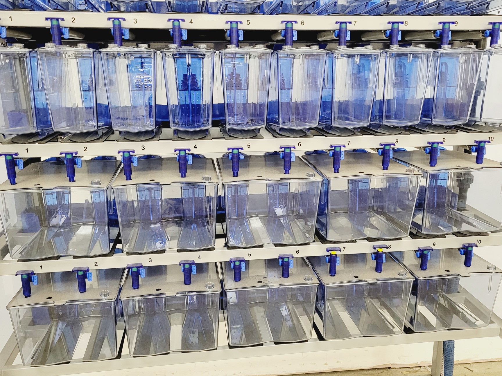 Image of Tecniplast Quarantine Rack Fish Tank System ZebTEC  with ZB1020MN2AB Power Box