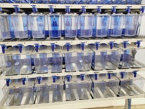 Thumbnail image of Tecniplast Quarantine Rack Fish Tank System ZebTEC  with ZB1020MN2AB Power Box