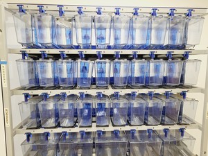 Thumbnail image of Tecniplast Quarantine ZebTEC Rack Fish Tank System with ZB1020MN2AB Power Box