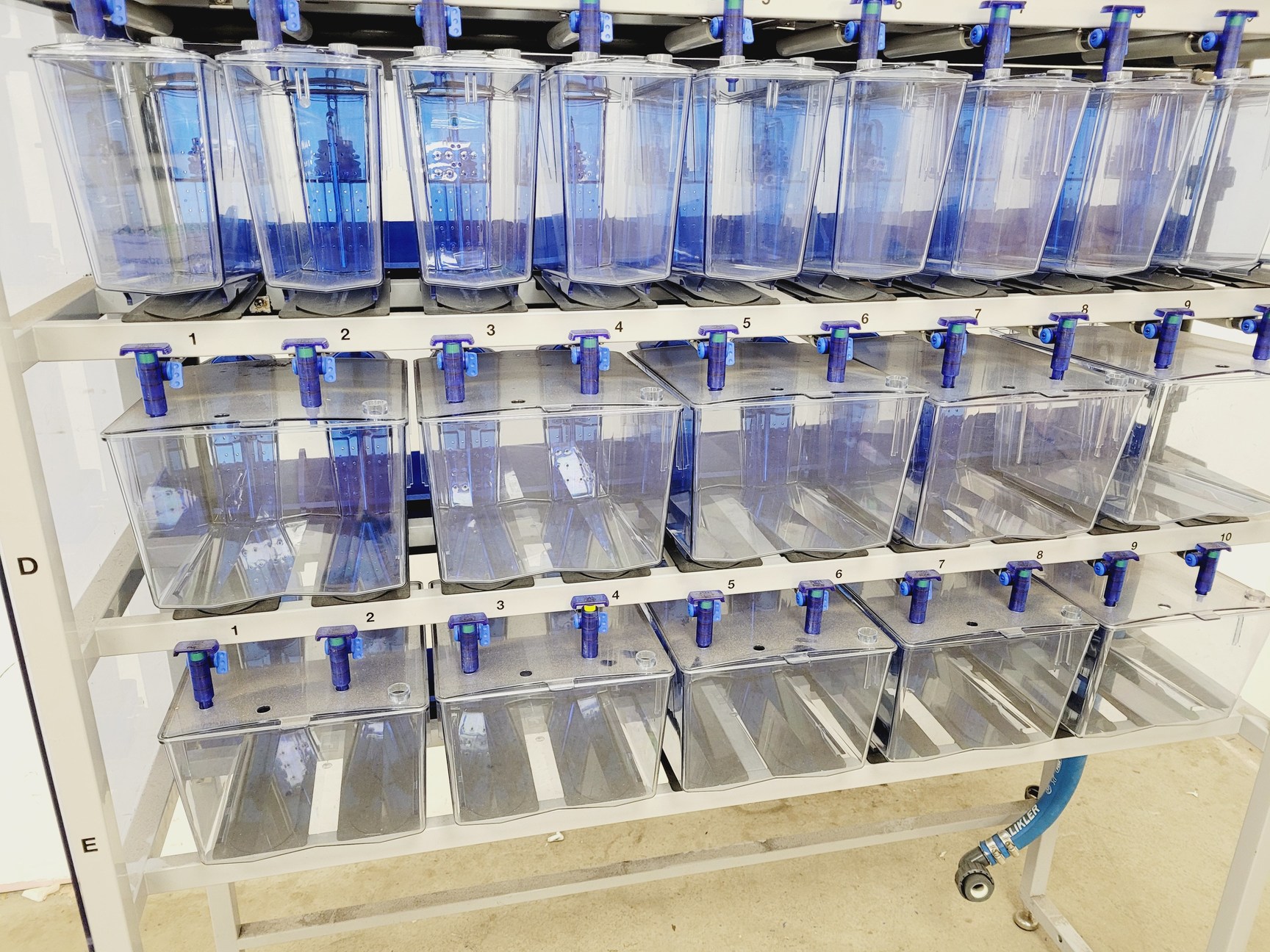 Image of Tecniplast Quarantine ZebTEC Rack Fish Tank System with ZB1020MN2AB Power Box