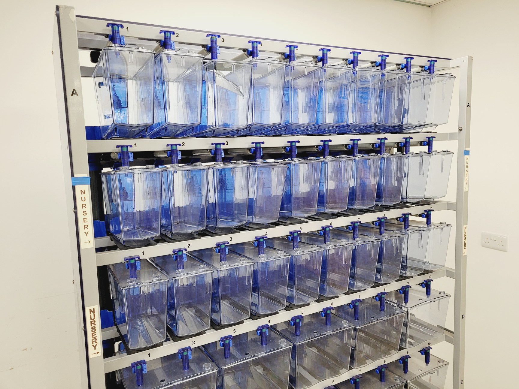Image of Tecniplast Quarantine ZebTEC Rack Fish Tank System with ZB1020MN2AB Power Box