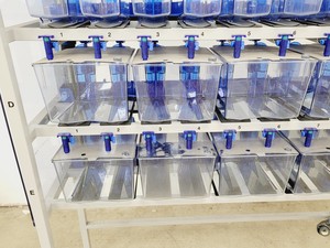 Thumbnail image of Tecniplast Quarantine ZebTEC Fish Tank Rack System with ZB2550SADX2 PSU 