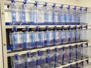 Thumbnail image of Tecniplast Quarantine ZebTEC Fish Tank Rack System & ZB2550SADX2 PSU 
