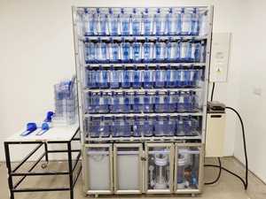 Thumbnail image of Tecniplast Quarantine ZebTEC Fish Tank Rack System & ZB2550SADX2 PSU 