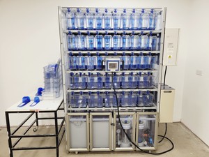 Thumbnail image of Tecniplast Quarantine ZebTEC Fish Tank Rack System & ZB2550SADX2 PSU 