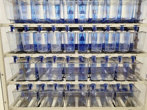 Thumbnail image of Tecniplast Quarantine ZebTEC Fish Tank Rack System & ZB2550SADX2 PSU 