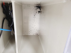 Thumbnail image of Tecniplast Quarantine ZebTEC Fish Tank Rack System & ZB2550SADX2 PSU 