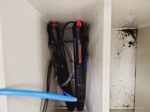 Thumbnail image of Tecniplast Quarantine ZebTEC Fish Tank Rack System & ZB2550SADX2 PSU 