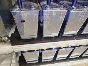 Thumbnail image of Tecniplast Quarantine Fish Tank System with ZB1020MN2AB Power Box