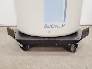 Thumbnail image of Thermo Scientific BioCane 34  Model - 808 Liquid Nitrogen Dewar Lab
