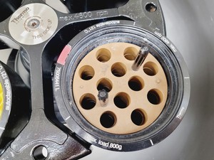 Thumbnail image of Thermo Multifuge 3SR+ Refrigerated Laboratory Centrifuge Lab