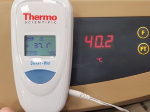 Thumbnail image of Infors Minitron AI 70 Laboratory Shaking Incubator Lab