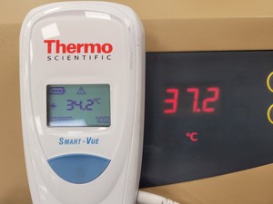 Thumbnail image of Infors Minitron AI 70 Laboratory Shaking Incubator Lab