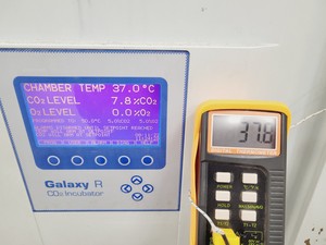 Thumbnail image of RS Biotech Galaxy R CO2 Incubator  Model - 170-300 Lab