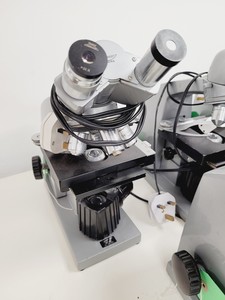 Thumbnail image of Job Lot of 17 Reichert Laboratory Compound Binocular Microscopes Lab