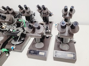 Thumbnail image of Job Lot of 13 Swift Stereo Eighty Stereo Zoom Laboratory Microscopes Lab
