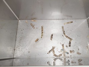 Thumbnail image of New Brunswick Scientific C585 -86 Ultra-Low Temperature Chest Freezer Lab