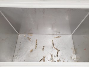 Thumbnail image of New Brunswick Scientific C585 -86 Ultra-Low Temperature Chest Freezer Lab