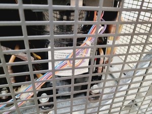 Thumbnail image of Nuaire -86 Ultra Low Laboratory Freezer  Model no. NU-6617 W36 Lab