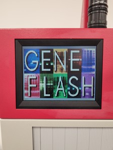 Thumbnail image of Syngene Bio Imaging GeneFlash Gel Doc Imaging System Lab