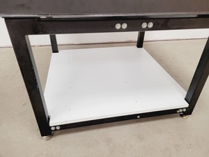 Thumbnail image of Beckman Coulter MoFlo Optical Bench - Isolation Table 122 x 122 Lab