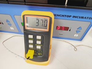 Thumbnail image of Cook Benchtop Incubator  Model no. K-MINC-1000 Lab