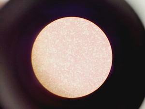 Thumbnail image of Olympus CHT CH2 Binocular Microscope with 3 x E Objectives Lab