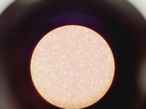 Thumbnail image of Olympus CHT CH2 Binocular Microscope with 3 x E Objectives Lab