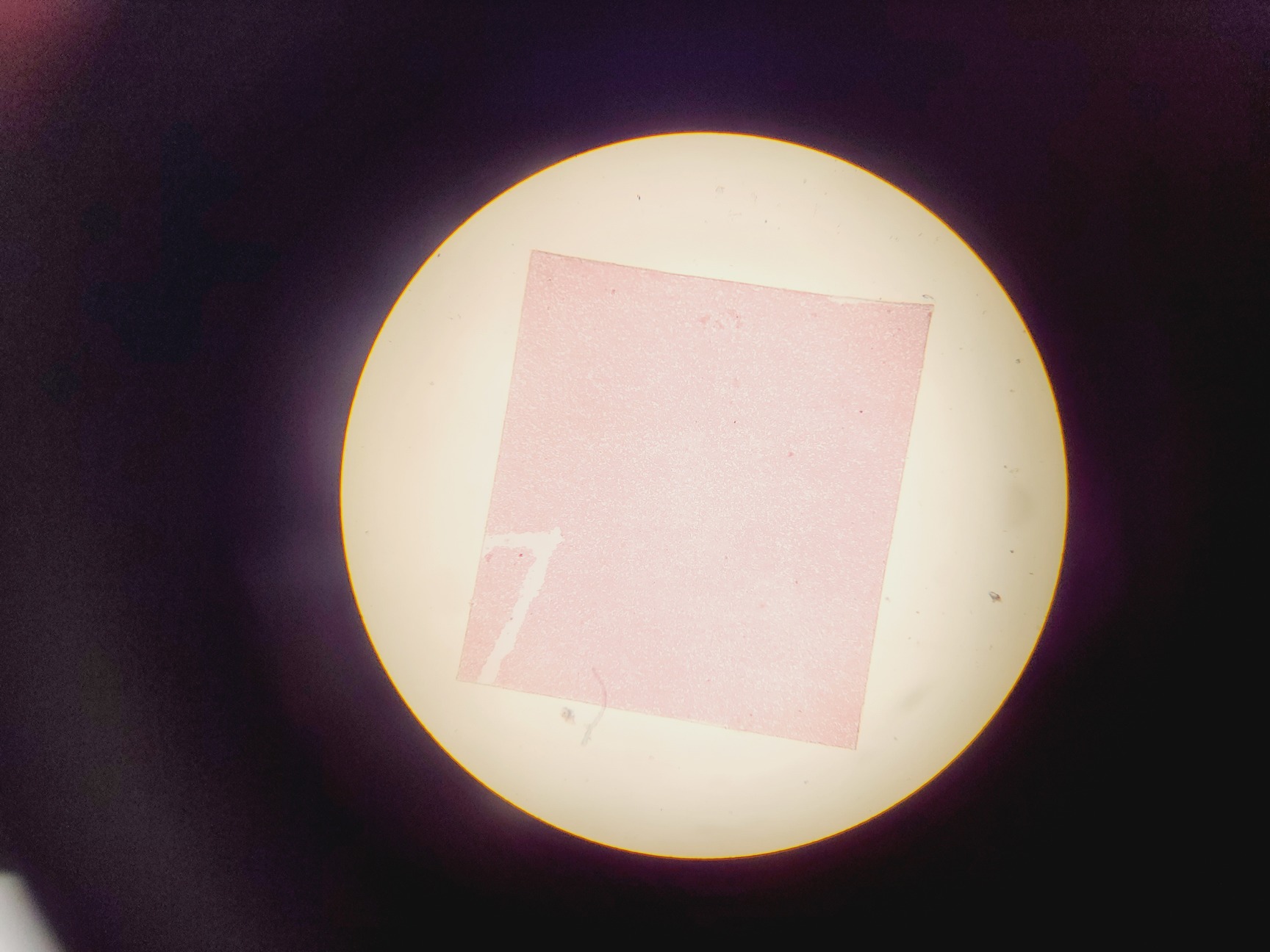 Image of Olympus CHT CH2 Binocular Microscope with 3 x E Objectives Lab