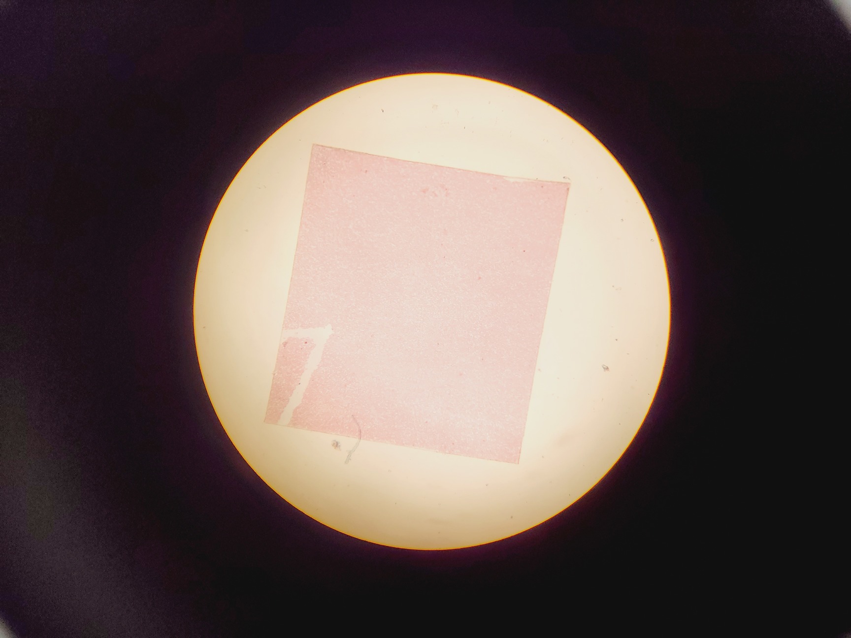 Image of Olympus CHT CH2 Binocular Microscope with 3 x E Objectives Lab