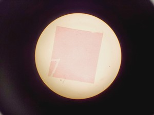 Thumbnail image of Olympus CHT CH2 Binocular Microscope with 3 x E Objectives Lab