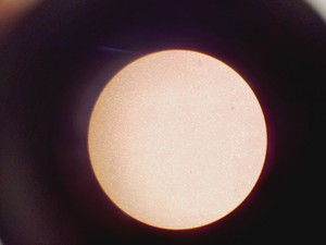 Thumbnail image of Olympus CHT CH2 Binocular Microscope with 3 x E Objectives Lab