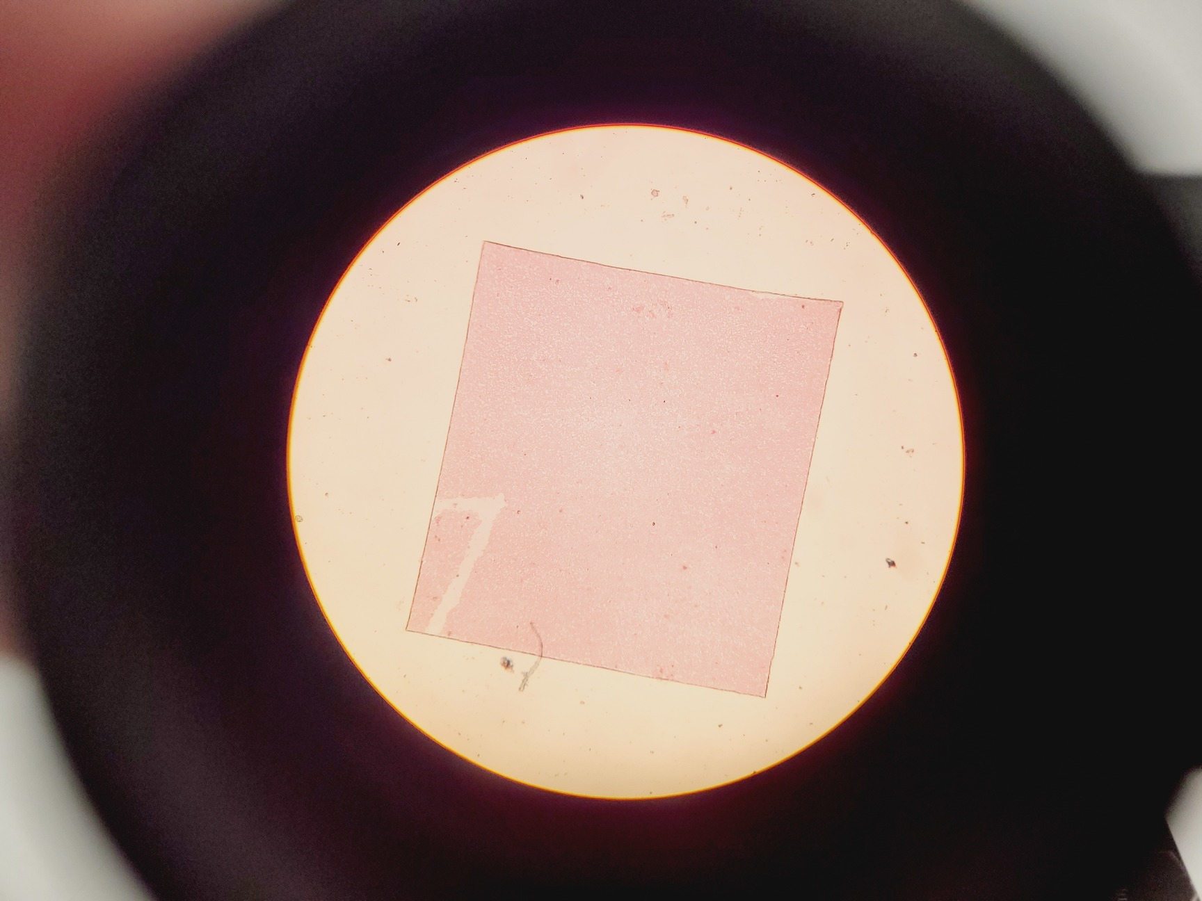 Image of Olympus CH2 CHT Binocular Laboratory Microscope with 3 x Objectives Lab