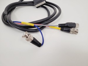 Thumbnail image of Nikon Eclipse E400 Laboratory Research Microscope with 3 x Objectives Lab
