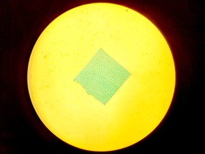 Thumbnail image of Nikon Eclipse E400 Laboratory Research Microscope with 3 x Objectives Lab
