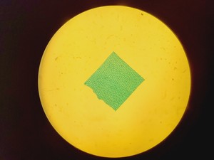 Thumbnail image of Nikon Eclipse E400 Laboratory Research Microscope with 3 x Objectives Lab