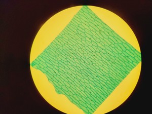 Thumbnail image of Nikon Eclipse E400 Laboratory Research Microscope with 3 x Objectives Lab