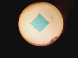 Thumbnail image of 16x Philip Harris Binocular Laboratory Microscopes - All with 4 x Objectives Lab