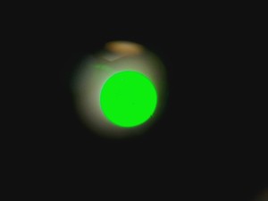 Thumbnail image of Zeiss Photo Fluorescence Microscope System Lab Spares/Repairs