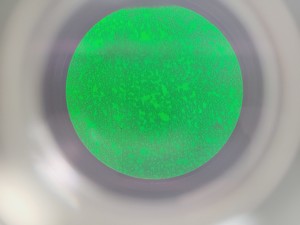 Thumbnail image of Zeiss Photo Fluorescence Microscope System Lab Spares/Repairs