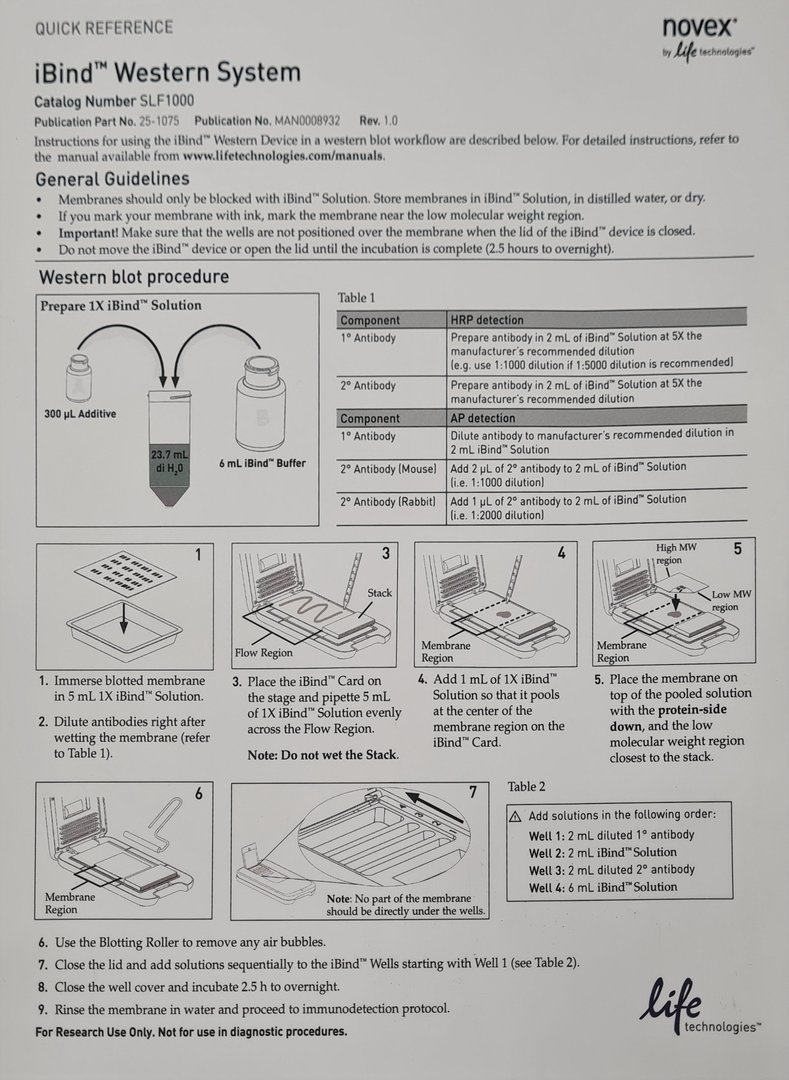 Image of Life Technologies iBind SLF1000 Western Device System Lab