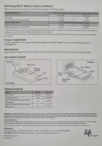 Thumbnail image of Life Technologies iBind SLF1000 Western Device System Lab