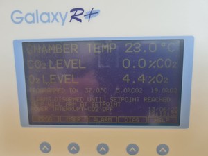 Thumbnail image of RS Biotech Galaxy R+ CO2 Incubator 170-300 Plus Lab