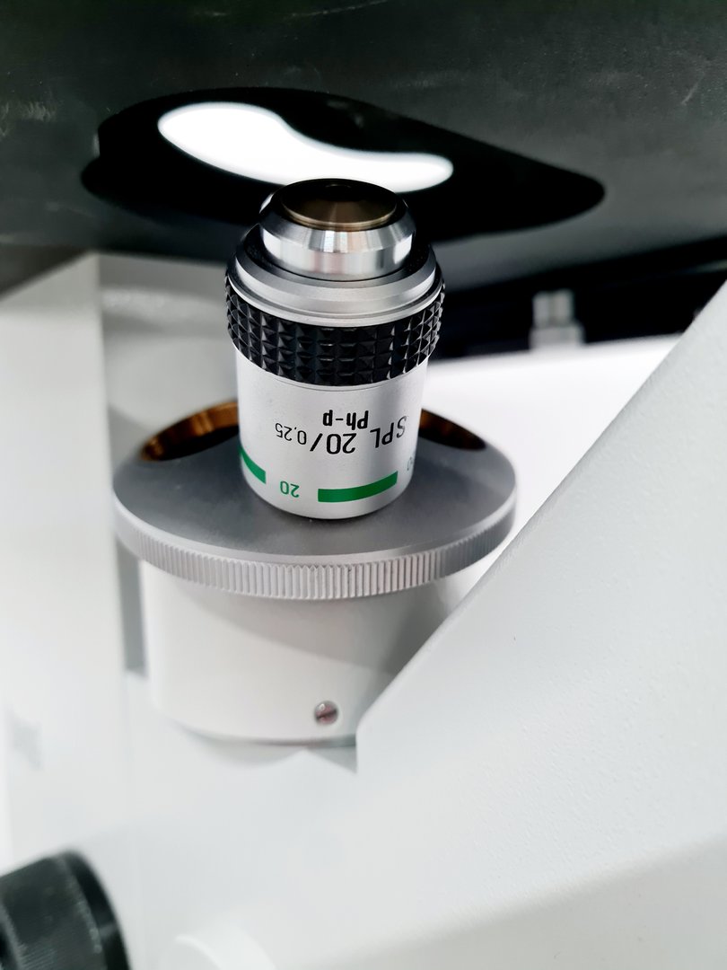 Image of Hund Wetzlar Wilovert Inverted Microscope w/ 1 x Objective 20/0.25 Ph-p Lab