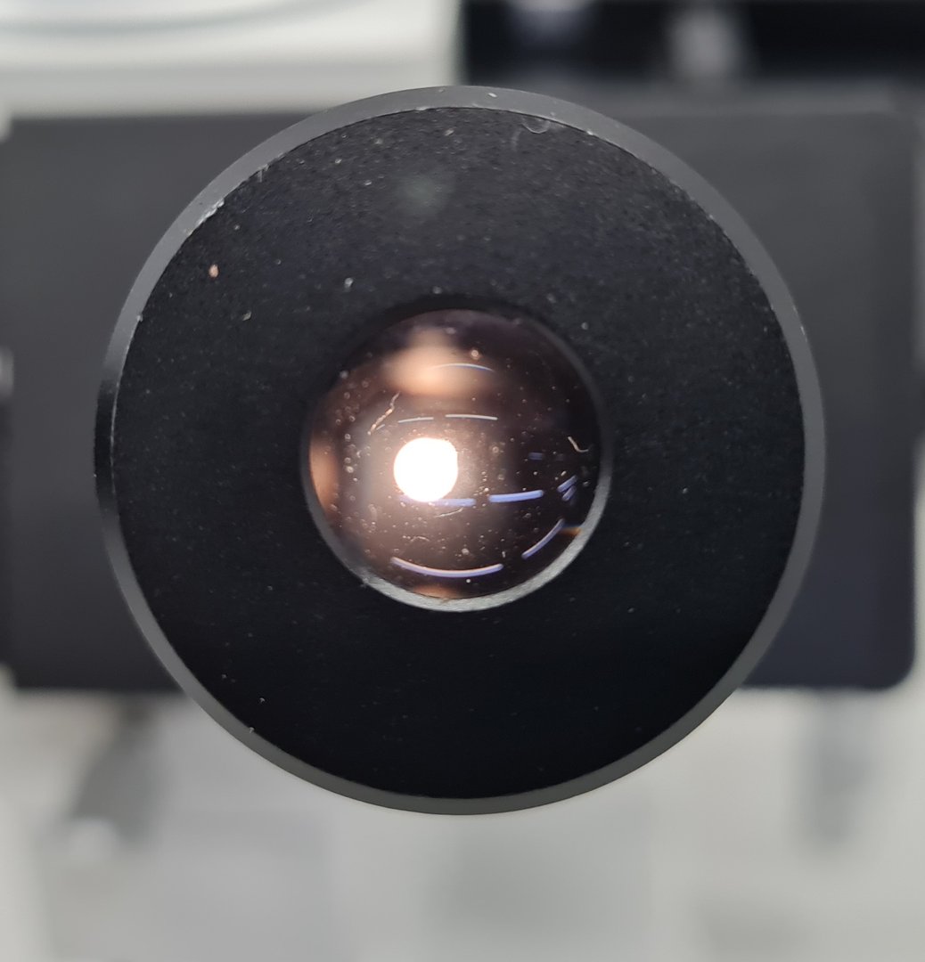 Image of Hund Wetzlar Wilovert Inverted Microscope w/ 1 x Objective 20/0.25 Ph-p Lab