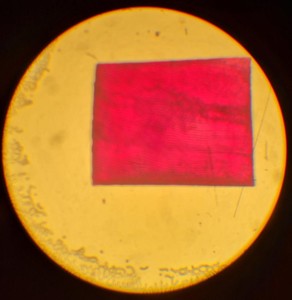 Thumbnail image of Hund Wetzlar Wilovert Inverted Microscope w/ 1 x Objective 20/0.25 Ph-p Lab