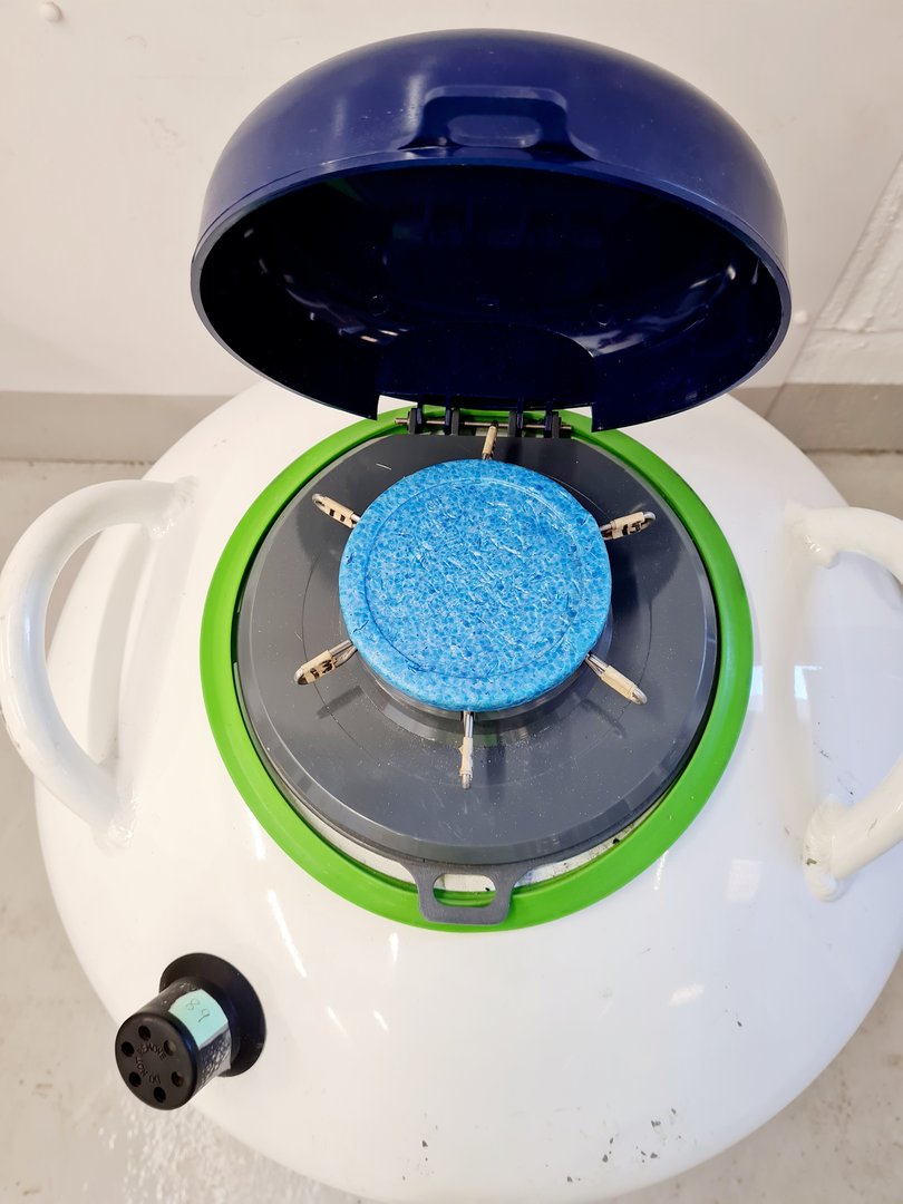 Image of Statebourne Cryogenics SXR 34 Liquid Nitrogen Sample Storage Dewar Lab
