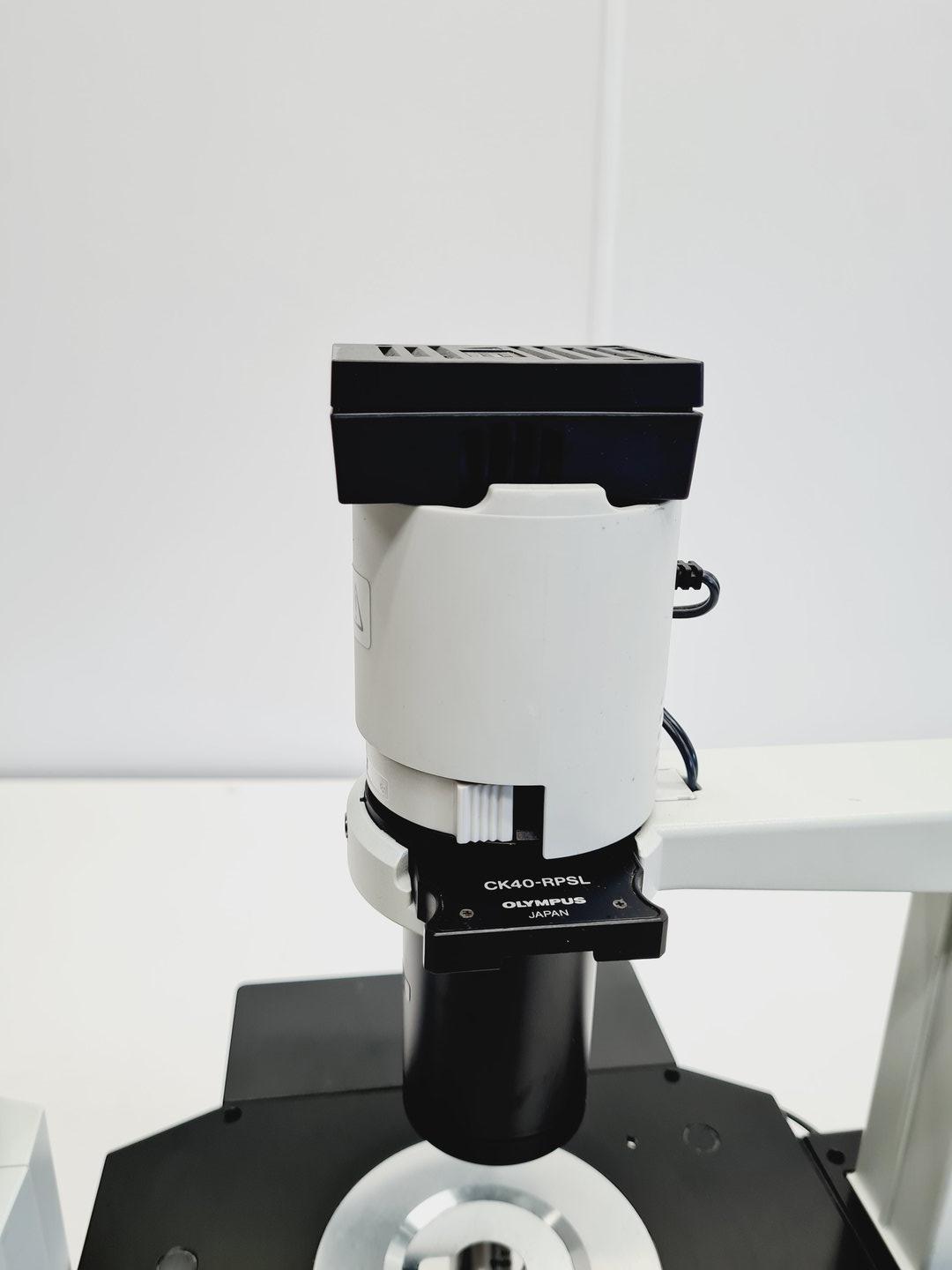 Image of Olympus CK40-F200 Inverted Microscope with 2 x Objectives Lab