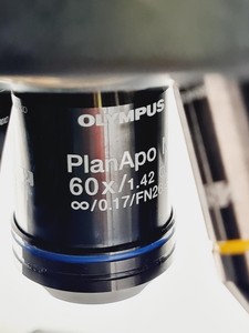 Thumbnail image of Olympus BX61 Microscope System w/ 4 x Objectives and Camera Lab Faulty