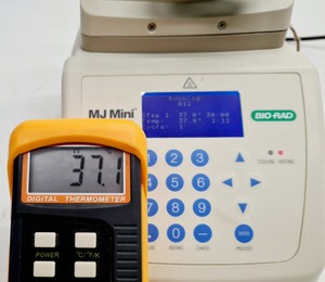 Thumbnail image of Bio-Rad MJ Mini MiniOpticon Thermal Cycler Lab